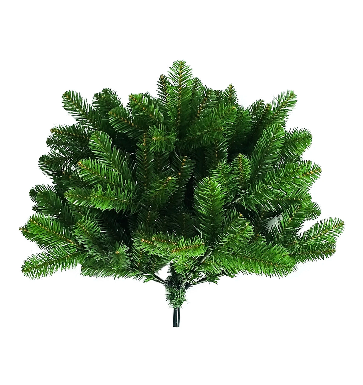 Sapin de Noël Daisy Darcy « Mountain Pine » - 183 cm - Diamètre 101 cm - Vert