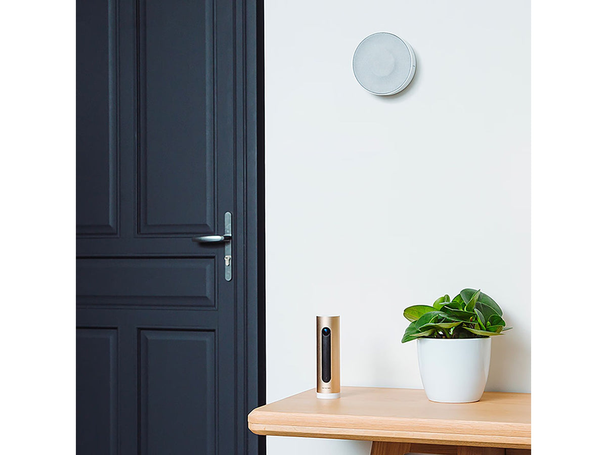 Système d'alarme intelligent Netatmo avec caméra - Reconnaissance faciale et sirène de 110 dB - 165 x 65 x 65 mm