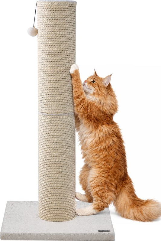 Jake and Jacky : Arbre à chat pour grands chats - Naturel/Crème - Avec petite balle - 56 x 56 x 120 cm - Ø de l'arbre à chat en sisal : 20 cm