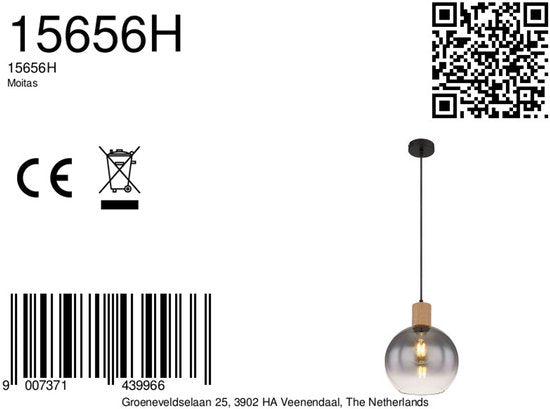 Globo - suspension - Moitas - noir - verre - Ø 25 cm - E27 - 15656H