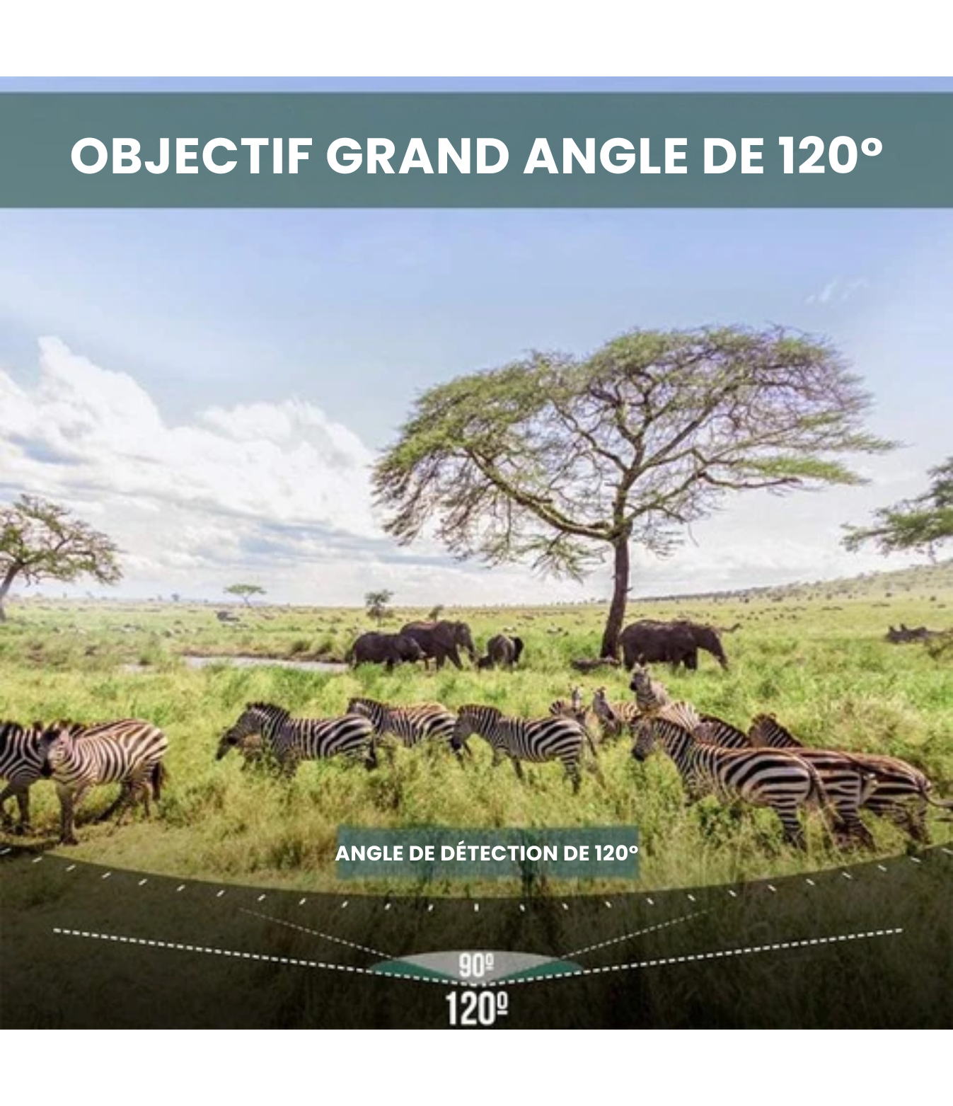 Strex - Wildlife Camera - avec vision nocturne - 36MP 4K ULTRA HD - Waterproof - Incl. 32 GB SD - Wildlife Camera