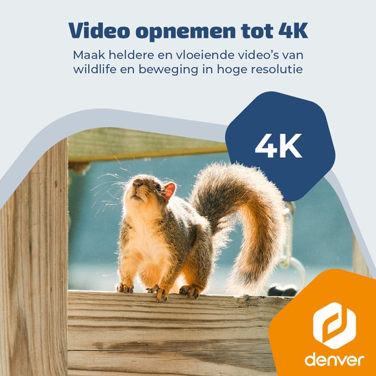 Caméra de chasse Denver avec vision nocturne et Wi-Fi - 4K Ultra HD - 48 Mpx - Wi-Fi - Application Trailcam Go - Écran LCD - Alimentation solaire - WSW8120