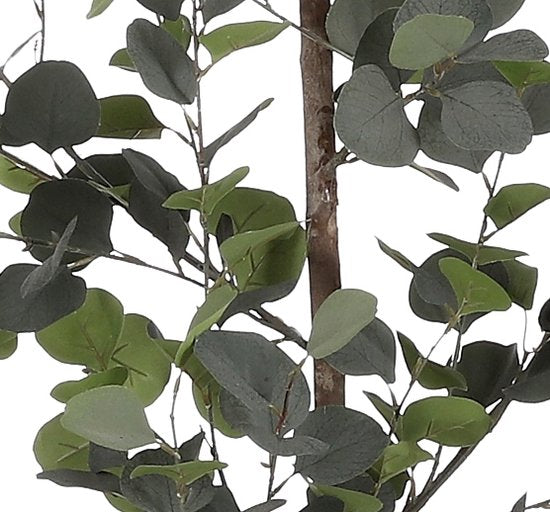 Plante Artificielle Eucalyptus - Mica Decorationsen - Pot de Fleur - H150 x Ø30 cm - Vert