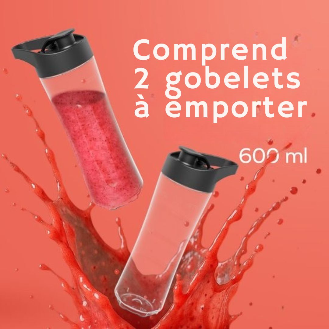 Mini Blender To-Go KitchenBrothers - Smoothies - 2 Bouteilles à emporter de 600 ml - acier inoxydable