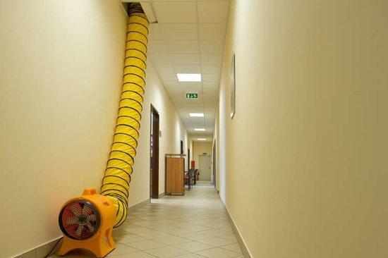 Ventilateur de chantier professionnel Master - 7 800 m³/h - 750 W - BL8800