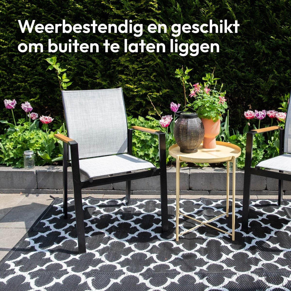 Gadgy Buitenkleed Vloerkleed XL - 230x160 cm - Campingkleed - Picknickkleed - Tuintapijt - Buitentapijt - Balkon Kleed - Omkeerbaar - Incl. Draagtas - Tuindecoratie Zomer 2024