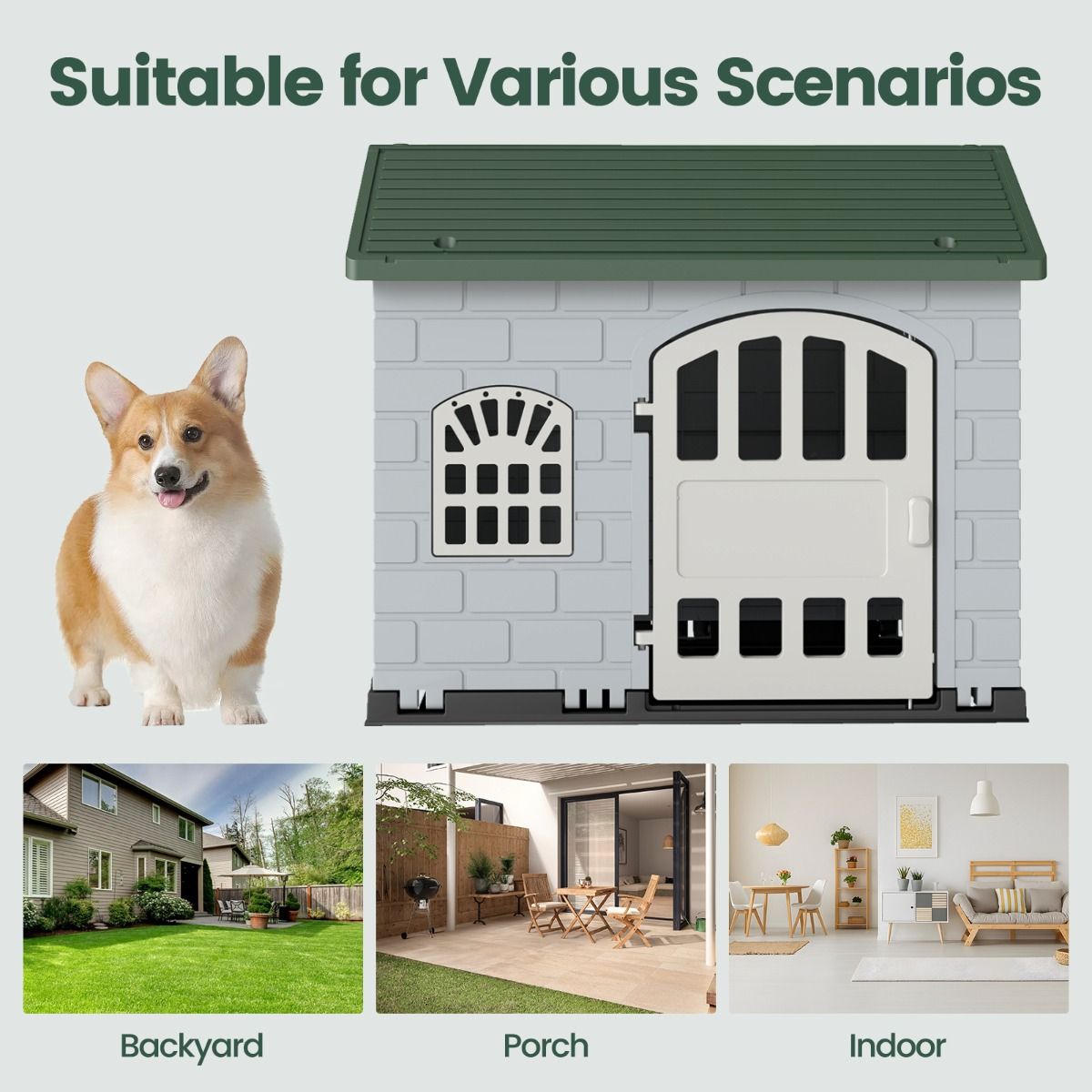 Niche pour chien Coast en plastique - résistante aux intempéries - porte verrouillable et 3 fenêtres - verte