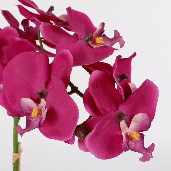 Mica Decorations - Plante artificielle Phalaenopsis dans un pot Tusca - H60 x Ø16 cm - Violet