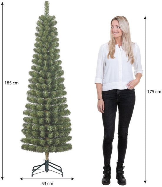 Black Box Trees Charlton : sapin de Noël élancé, modèle en colonne - Décoration de Noël d'aspect naturel - Sapin artificiel à structure articulée pour un montage rapide - H 185 x Ø 53 cm - Vert