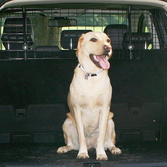 Grille de sécurité pour chien Sakura à fixer aux appuie-tête de la voiture SS5259 - montage facile pour les berlines à hayon, les SUV, les breaks et les monospaces - réglable en largeur, aucun outil nécessaire
