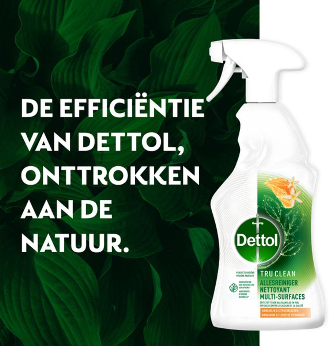 Lot de 6 sprays nettoyants multi-usages Dettol - Tru Clean - Mandarine et fleur de citronnier - 500 ml