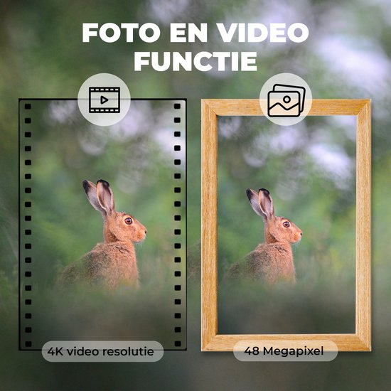 Caméra Denver avec vision nocturne et WiFi - 4K Ultra HD - 48MP - WiFi - TrailCam GO app - Ecran LCD - Etanche - WCT8026