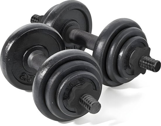 Fitby Dumbells 20KG - Haltères - Jeu de poids - Haltères réglables - Jeu d'haltères - Jeu d'haltères - Fonte - Boîtier de rangement inclus
