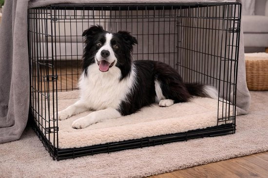 Coussin pour chien – Panier pour chien – Naya Rectangulaire Beige 100,5 x 63,5 cm – confort de couchage moelleux – ajustement parfait – durable