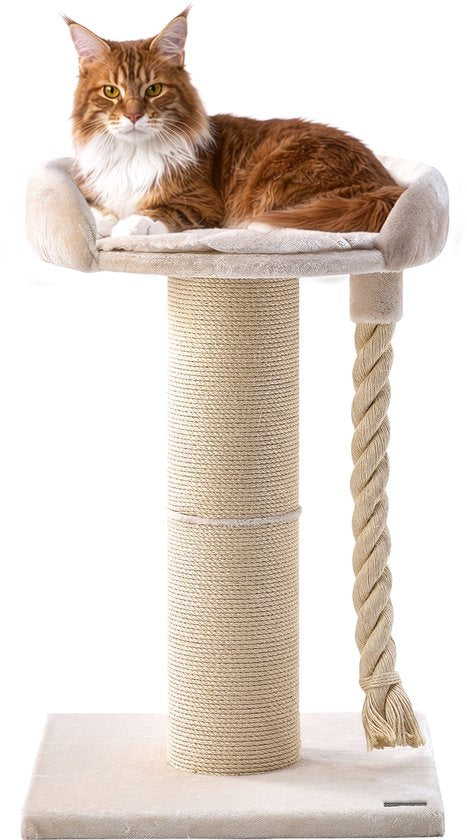 Jake et Jacky : Arbre à chat pour grands chats avec panier - Avec corde à jouer - Naturel/Crème - 57 x 57 x 90 cm - Ø de l'arbre à chat en sisal : 20 cm