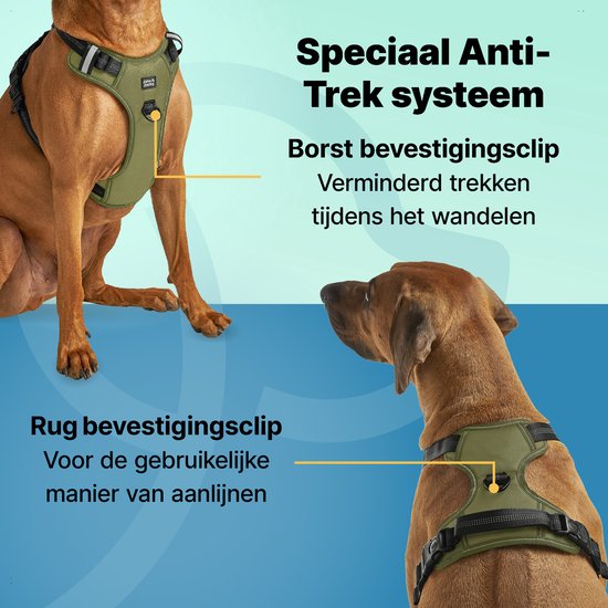 Harnais pour chien Jake and Jacky - Harnais anti-fugue - Réfléchissant - Vert - Taille L