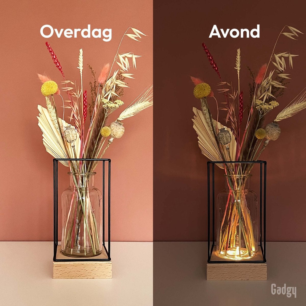 Gadgy Vase avec éclairage LED - Vase lampe - Vase en verre avec lampe - Cadeau de fête des mères - Hydroponique - Fonctionne avec des piles - Lampe de table - Ø11cm