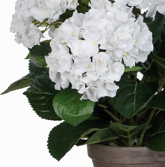 Mica Decorations Plante artificielle Hortensia - blanche - 45 cm - en pot - Plantes artificielles/fausses plantes