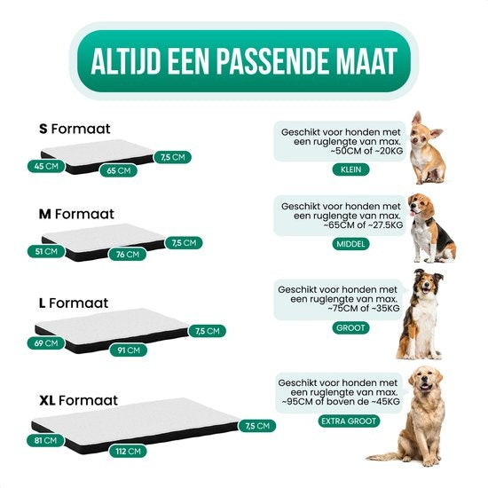 Avalo Coussin orthopédique pour chien S - 45x65 cm - Lavable / Mousse à mémoire de forme / Antidérapant - Panier orthopédique pour chien