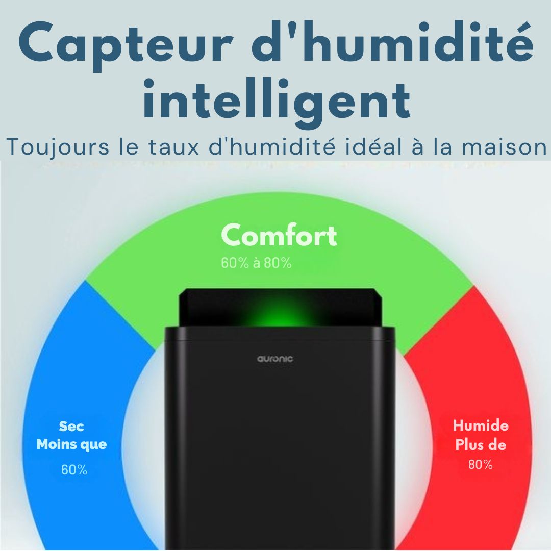 Déshumidificateur Auronic - Compact Pro Plus - 24L - Chambre à coucher, salle de bain, salon et bureau - Hydratant pour l'intérieur - Noir