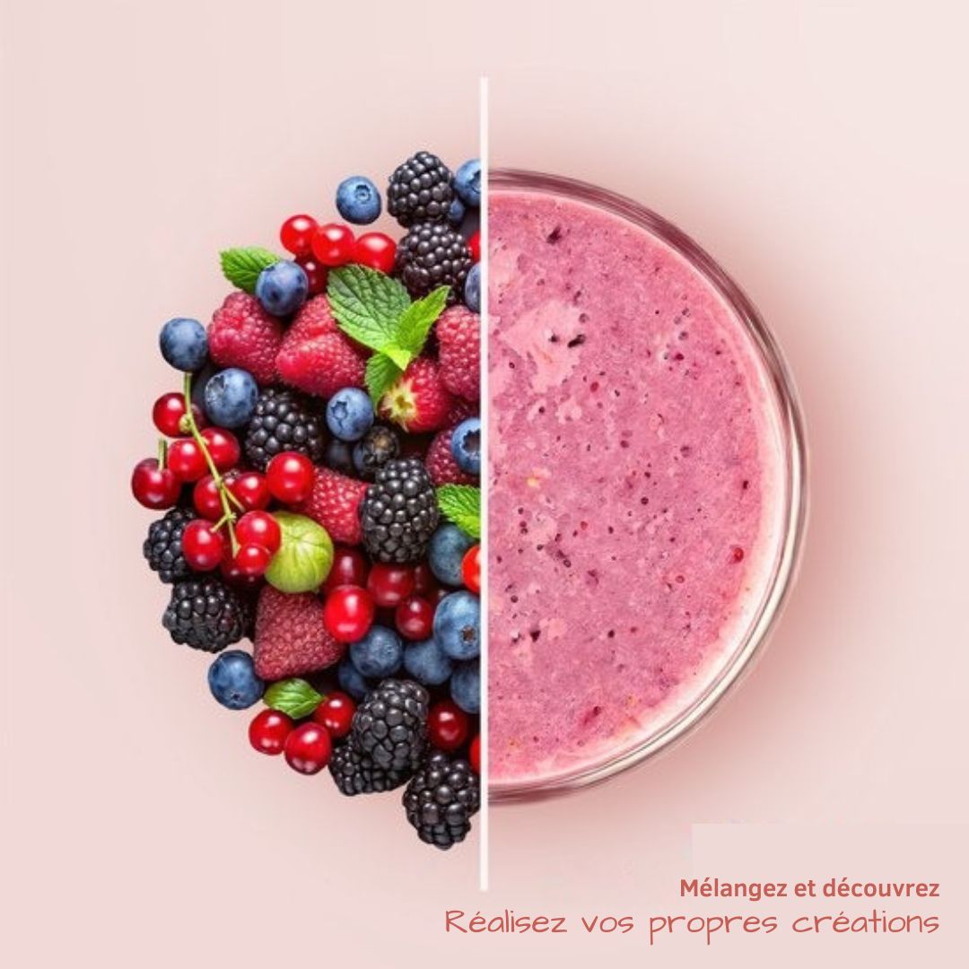 Mini Blender To-Go KitchenBrothers - Smoothies - 2 Bouteilles à emporter de 600 ml - acier inoxydable