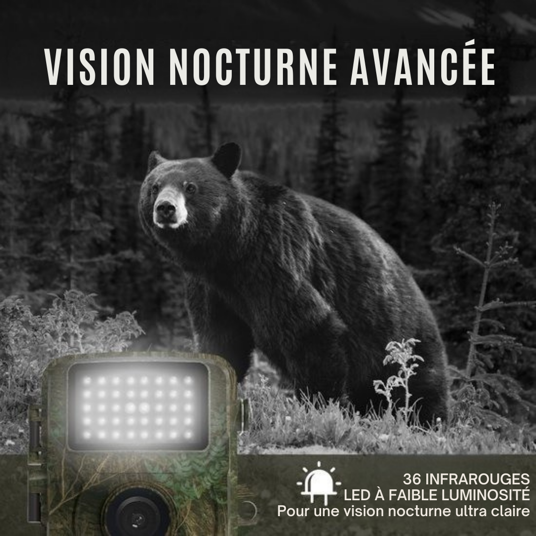 Wildlife Camera - Strex - Caméra de faune - Vision nocturne - 16MP 1080P Full HD - Waterproof - Caméra de chasse - Caméra pour animaux sauvages