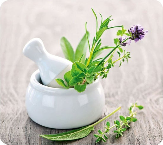 WENKO Plaque de protection en verre pour cuisinière HERB GARDEN, grande taille