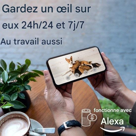 Caméra de surveillance pour animaux 360° ProTrue, 1080P avec application, Blanc
