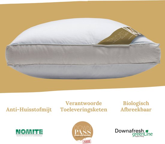 Oreiller Ten Cate - Oreiller pour douleurs cervicales - Duvet et plumes d'oie - Trois compartiments - Oreillers - Convient aux personnes dormant sur le dos, sur le côté et sur le ventre - Oreiller ergonomique - 50 x 60 cm