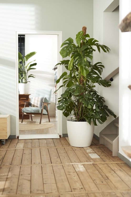 Elho Brussels Rond Wielen 35 - Grand pot de fleurs d'intérieur - Plastique 100 % recyclé - Ø 35 x H 33 cm - Blanc