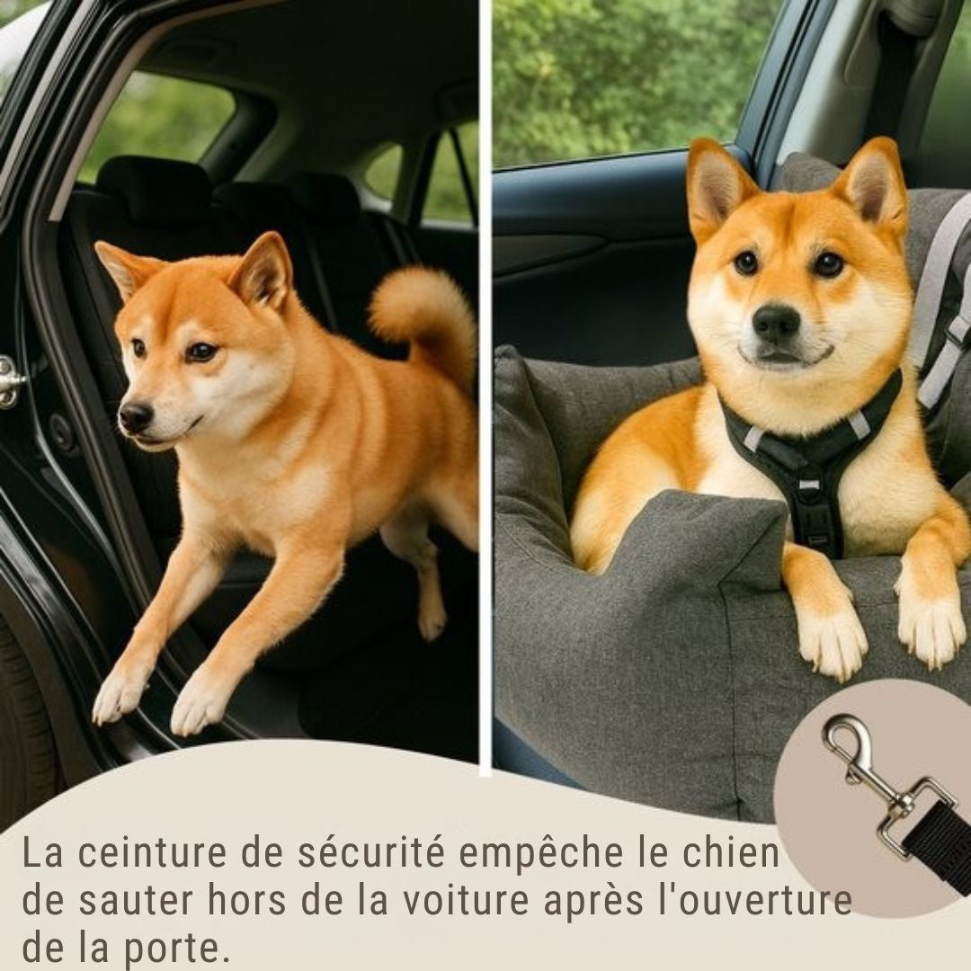 Siège auto pour chien By Cee Cee  - Panier pour chien haut de gamme - Avec sangle de sécurité - Siège pour chien - Siège auto - Toutes saisons - Taille M - Chiens de petite et moyenne taille - Gris