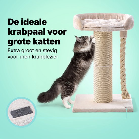 Jake et Jacky : Arbre à chat pour grands chats avec panier - Avec corde à jouer - Naturel/Crème - 57 x 57 x 90 cm - Ø de l'arbre à chat en sisal : 20 cm