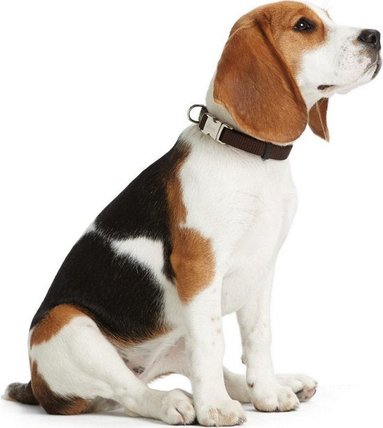 Collier pour chien - Hunter - Click Alu Strong - Nylon Soft Grey - 45-65 x 2,5 cm - Résistant et confortable