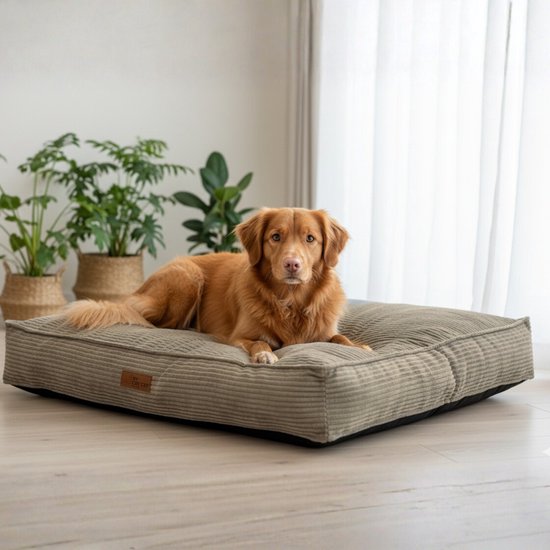 By Cee Cee Coussin orthopédique pour chien - Panier orthopédique pour chien - Coussin pour chien XXL - Rembourrage en flocons de mousse - Tissu côtelé Mocha Taupe - 120x80x18cm - Arlo