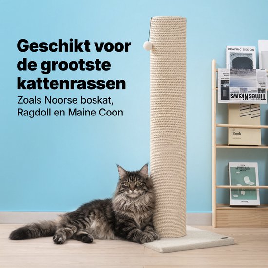 Jake and Jacky : Arbre à chat pour grands chats - Naturel/Crème - Avec petite balle - 56 x 56 x 120 cm - Ø de l'arbre à chat en sisal : 20 cm
