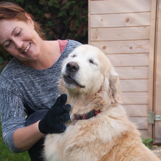 Gant True Touch pour animaux de compagnie - gants de toilettage pour chats et chiens - brosse pour animaux - gant de massage - salon de toilettage pour chiens - gant pour animaux de compagnie - gant-brosse pour animaux