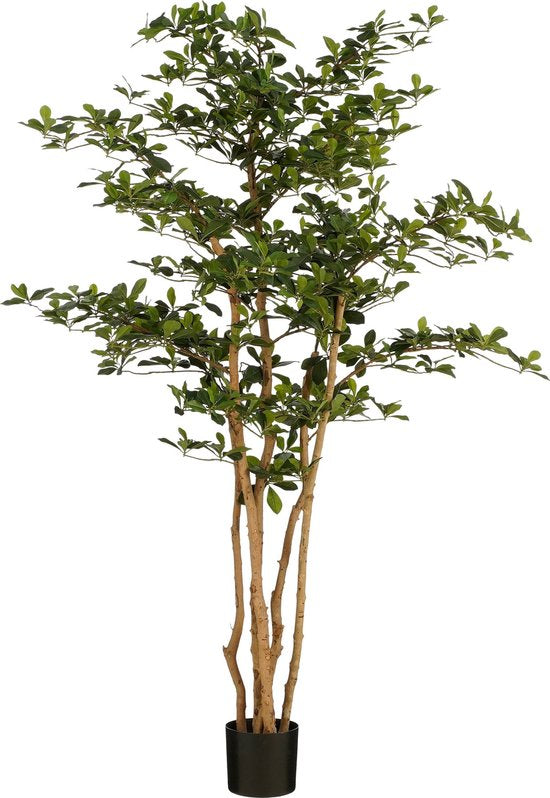 Olivier artificiel en pot - Mica Decorations - H183 x Ø130 cm - Vert