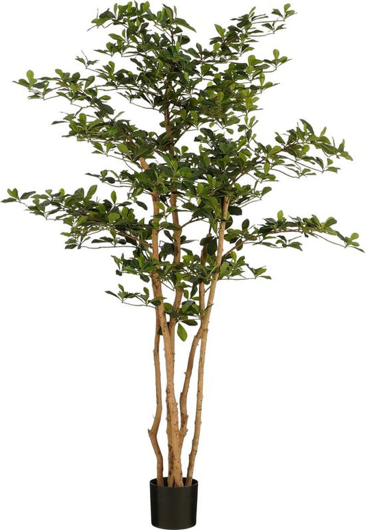 Olivier artificiel en pot - Mica Decorations - H183 x Ø130 cm - Vert