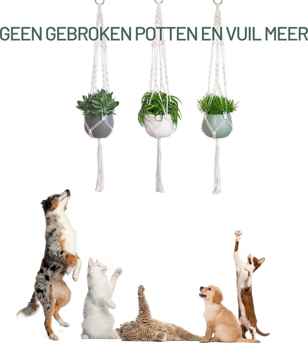 Gadgy Plant Hanger Macramé - Corde tressée de luxe en coton - 3 pièces - suspension de pot de plante - pot suspendu