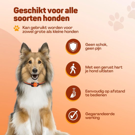 Vulpes Goods® Collier anti-aboiement Pro avec télécommande - Dispositif anti-aboiement - Collier de dressage 3-en-1 - Sans choc - Collier d'éducation pour petits et grands chiens - Imperméable - Rechargeable - Vibration et Audio