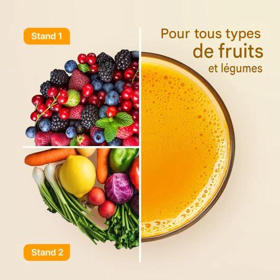 KitchenBrothers Extracteur de jus - Pour légumes et fruits - Extracteur de jus - Avec récipient à pulpe - 500ml - 600W - Noir