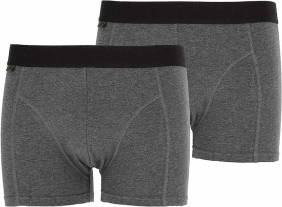 Boxers Bamboo 31050, lot de 2 - Anthracite - XL