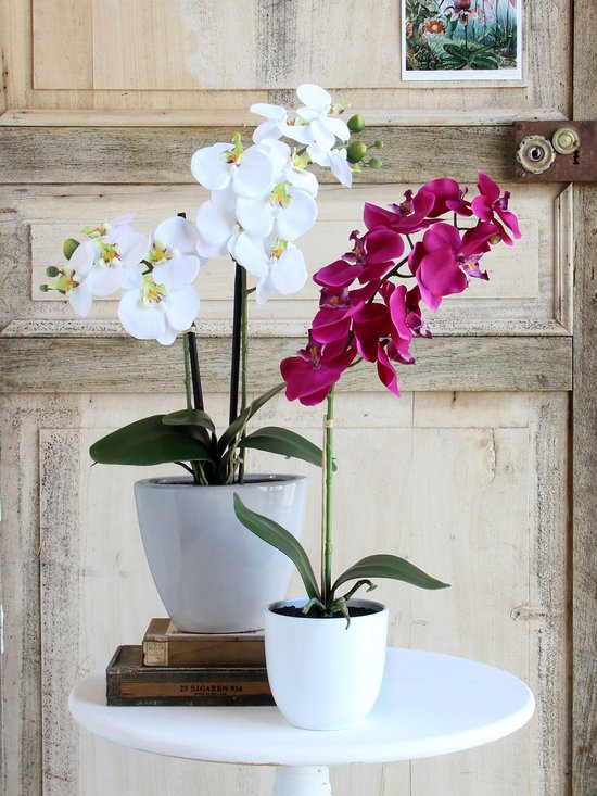 Mica Decorations - Plante artificielle Phalaenopsis dans un pot Tusca - H60 x Ø16 cm - Violet
