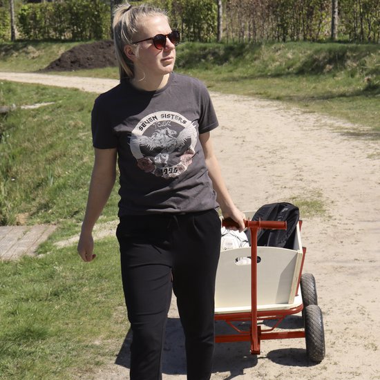 Sunny Billy Beach Wagon Chariot Rouge - Bois brut - Chariot avec pneus gonflables - 94x61x97cm