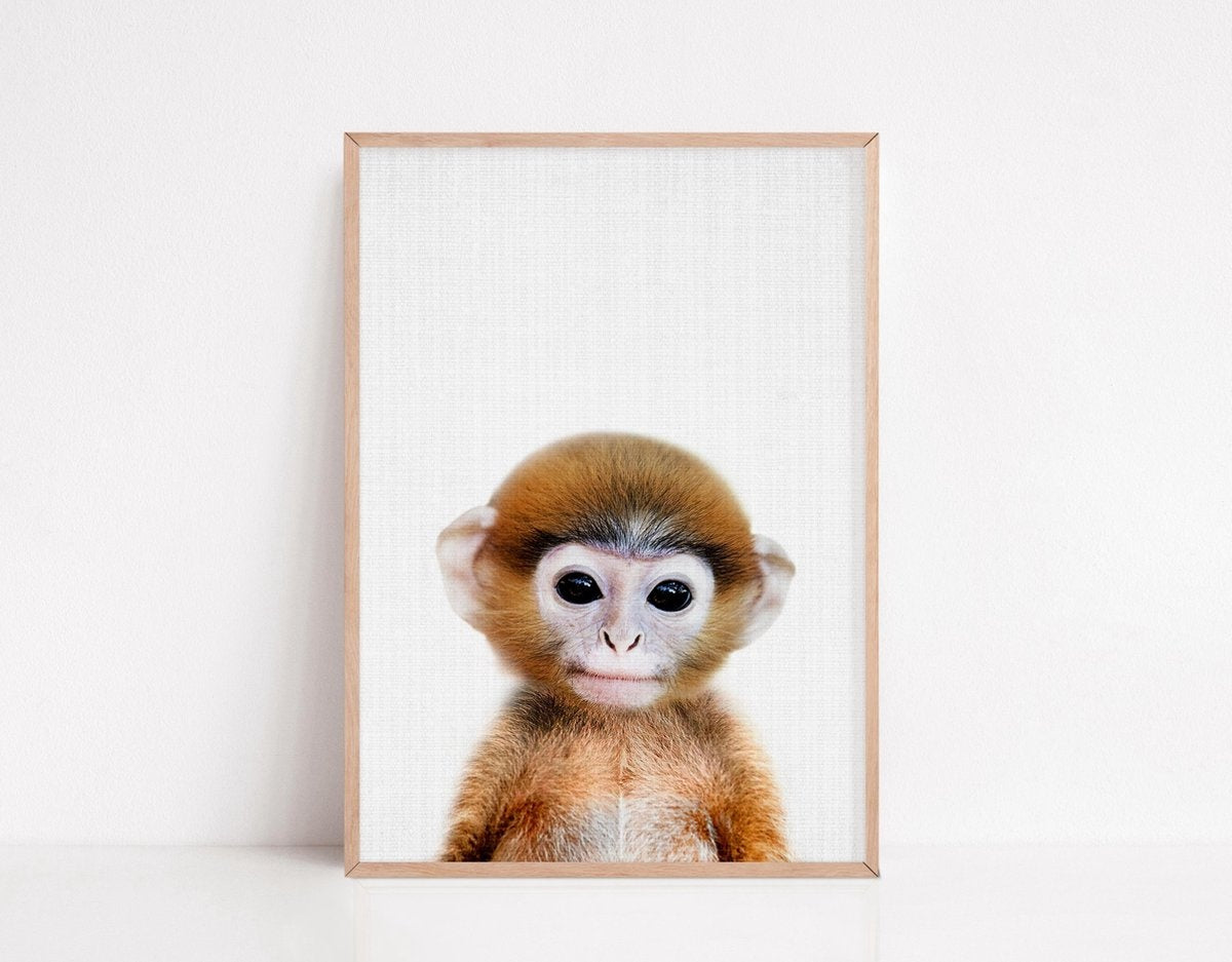 Affiches d'annimaux pour la chambre d'enfant - Generic - 6 Affiches - 21x30 cm - Papier robuste - Safari