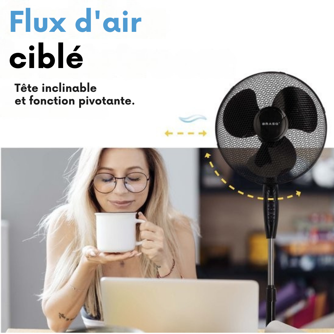 BRASQ Ventilateur trépied - 40 cm - Noir - Avec télécommande - Minuteur - Mode veille - Réglable en hauteur - Ventilateur silencieux - 40 Watts