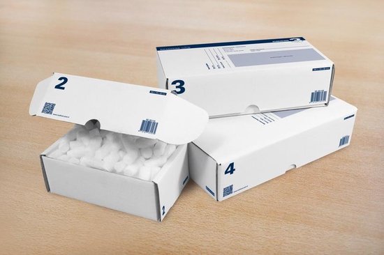 Boîte à colis Raadhuis 6 - 485 x 260 x 185 mm - imprimée - 1 pièce - RD-351123