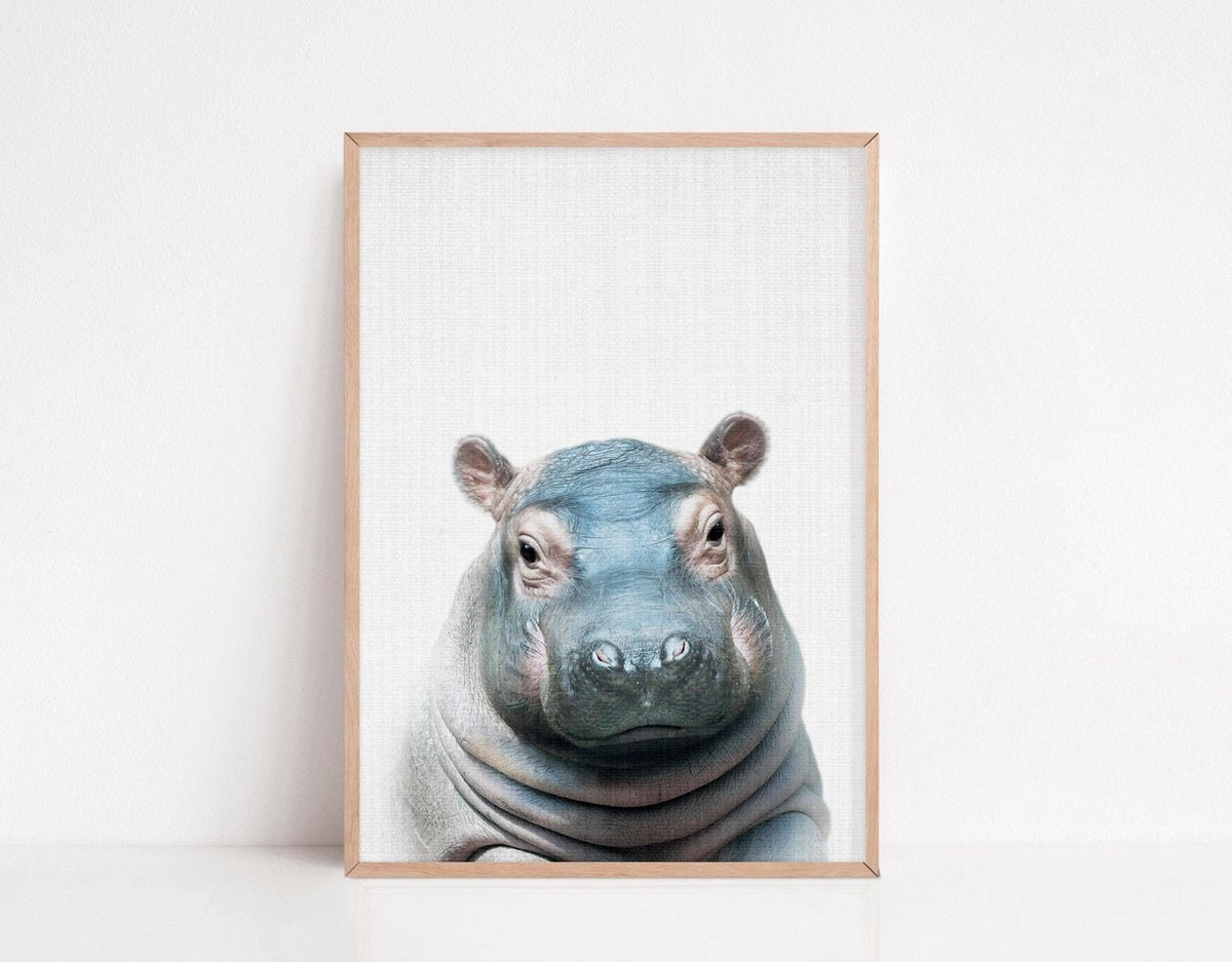 Affiches d'annimaux pour la chambre d'enfant - Generic - 6 Affiches - 21x30 cm - Papier robuste - Safari