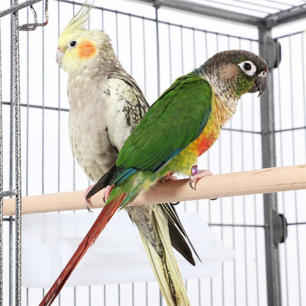 Cage à oiseaux Yaheetech 132 cm - Noire - Grande - Avec support - 3 perchoirs - 4 mangeoires - Sur roulettes