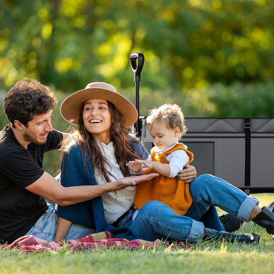LifeGoods Wagon - XL - Pliable - 200L - Capacité de charge 100KG - Gris